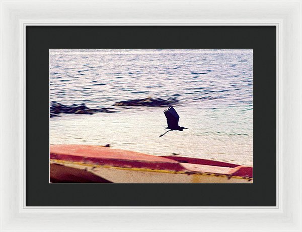 Beach In Belmont, West Moreland, Jamaica - Framed Print