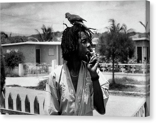 Peter Tosh Burning A Spliff In His Front Yard With His Parrot Freddie - Canvas Print