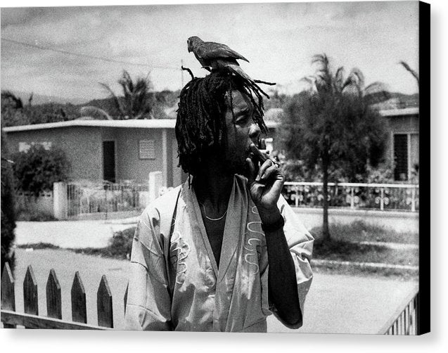 Peter Tosh Burning A Spliff In His Front Yard With His Parrot Freddie - Canvas Print