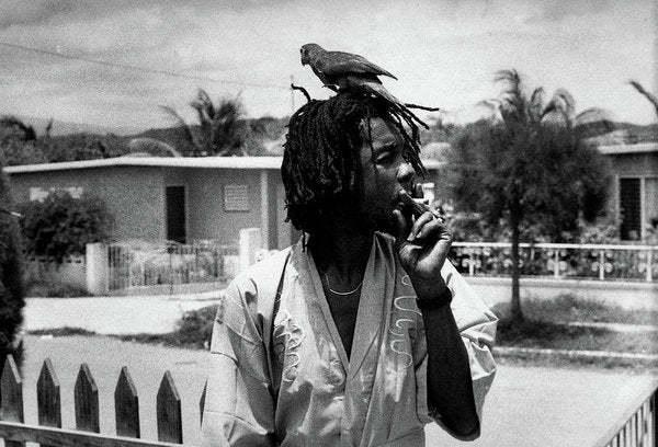 Peter Tosh Burning A Spliff In His Front Yard With His Parrot Freddie - Art Print