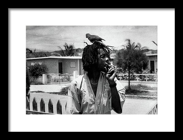 Peter Tosh Burning A Spliff In His Front Yard With His Parrot Freddie - Framed Print