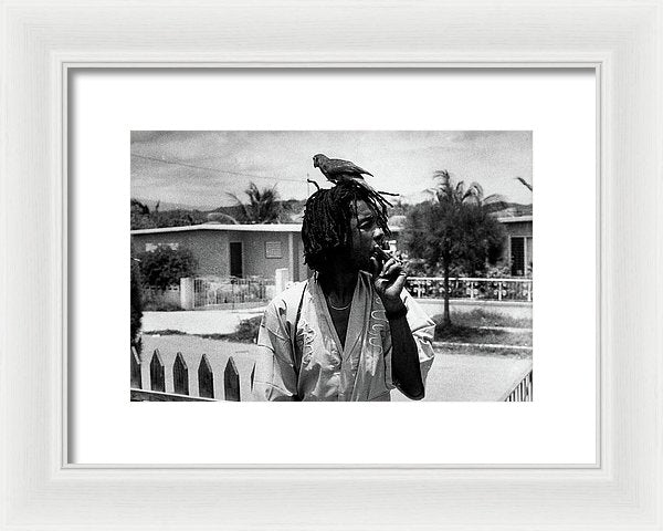 Peter Tosh Burning A Spliff In His Front Yard With His Parrot Freddie - Framed Print