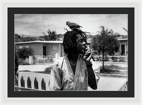 Peter Tosh Burning A Spliff In His Front Yard With His Parrot Freddie - Framed Print