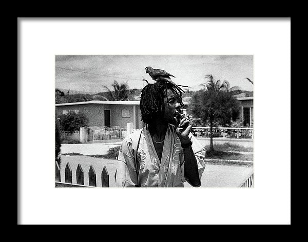 Peter Tosh Burning A Spliff In His Front Yard With His Parrot Freddie - Framed Print