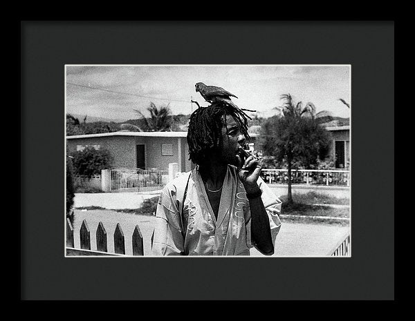 Peter Tosh Burning A Spliff In His Front Yard With His Parrot Freddie - Framed Print