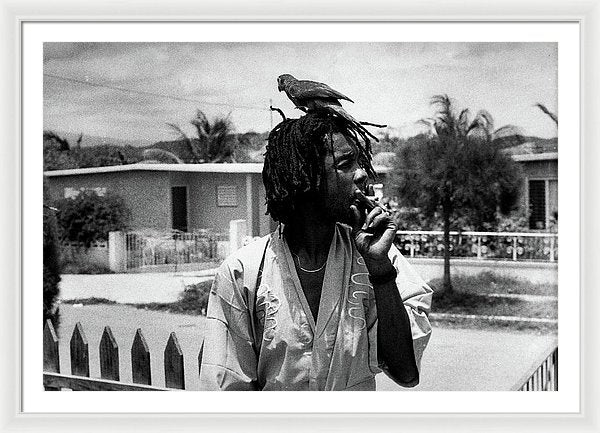 Peter Tosh Burning A Spliff In His Front Yard With His Parrot Freddie - Framed Print