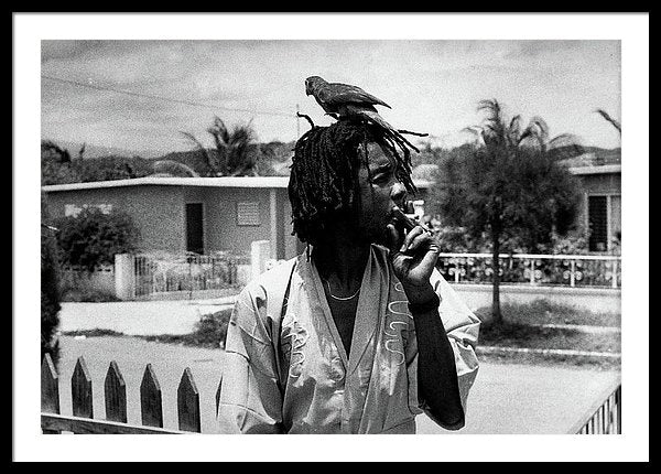 Peter Tosh Burning A Spliff In His Front Yard With His Parrot Freddie - Framed Print