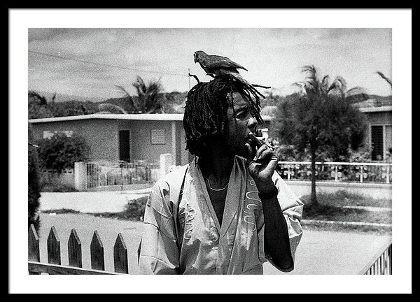 Peter Tosh Burning A Spliff In His Front Yard With His Parrot Freddie - Framed Print