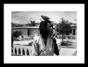 Peter Tosh Burning A Spliff In His Front Yard With His Parrot Freddie - Framed Print