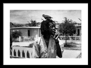 Peter Tosh Burning A Spliff In His Front Yard With His Parrot Freddie - Framed Print