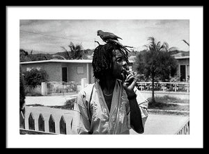 Peter Tosh Burning A Spliff In His Front Yard With His Parrot Freddie - Framed Print