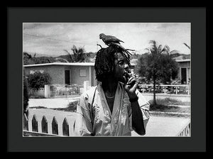 Peter Tosh Burning A Spliff In His Front Yard With His Parrot Freddie - Framed Print